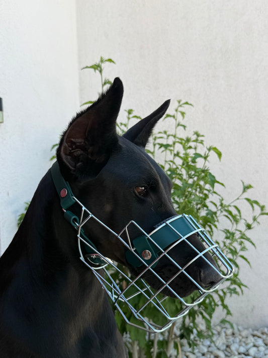 La muselière confort