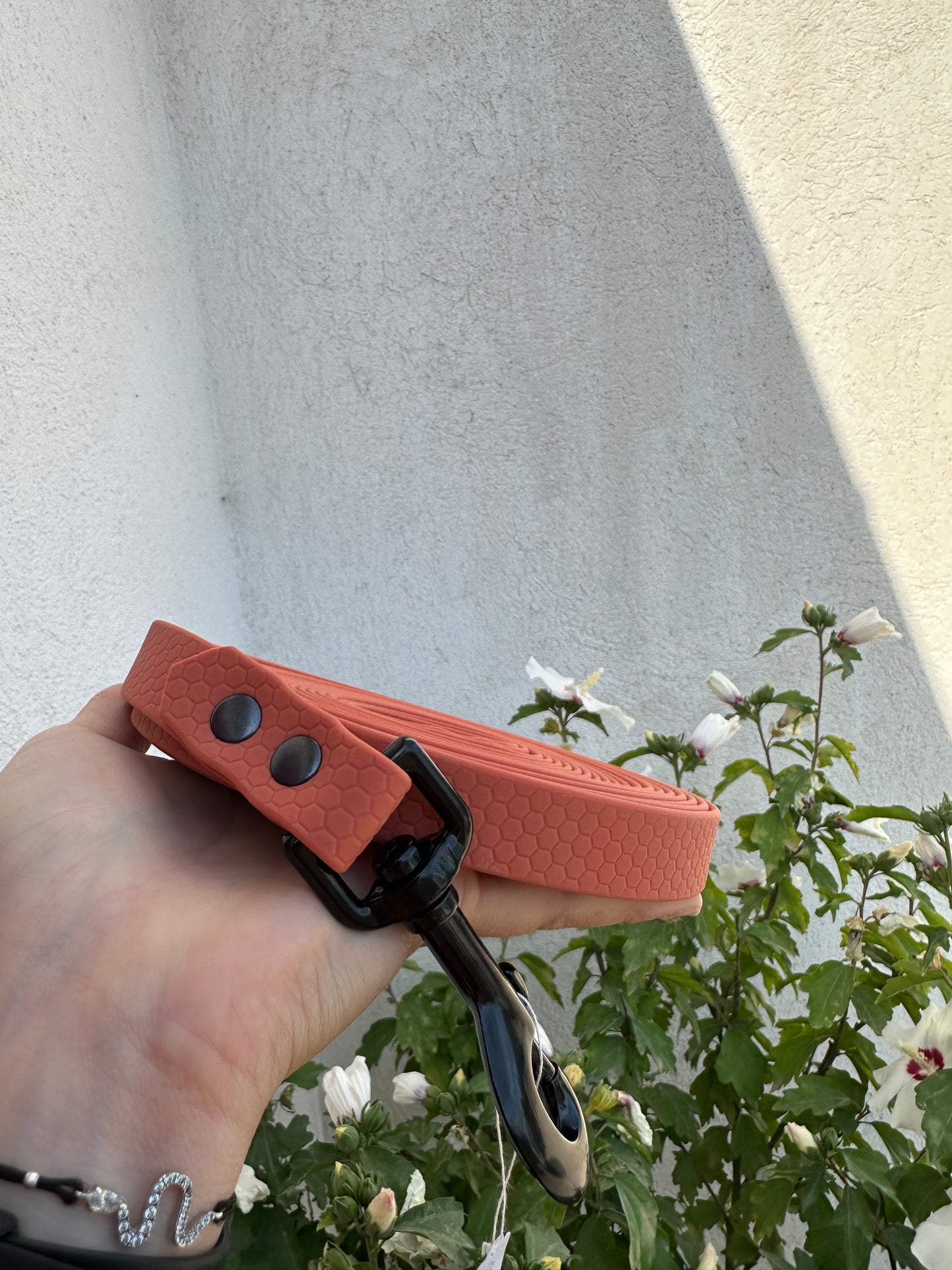 Longe HEXA 20mm