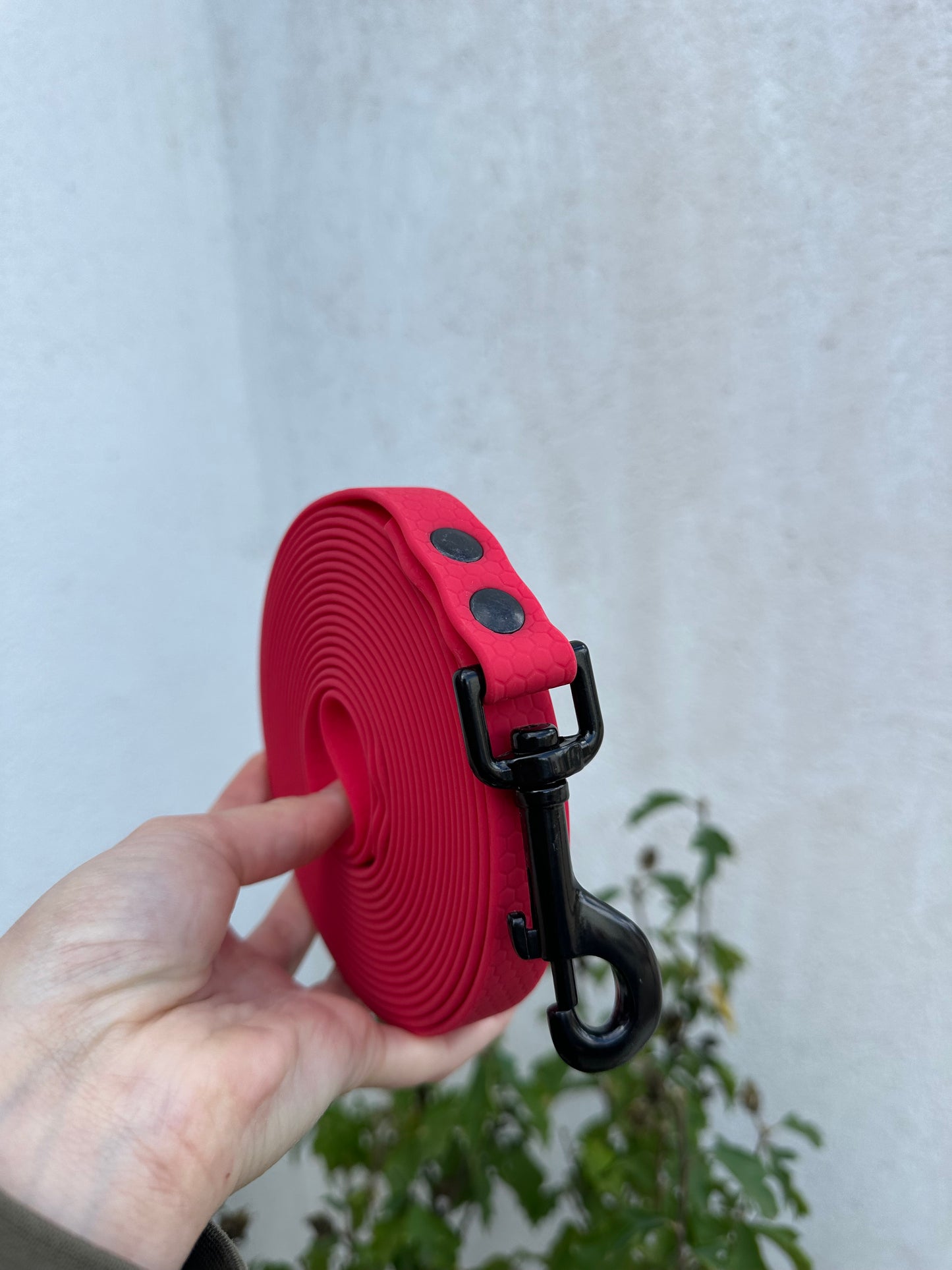Longe HEXA 20mm