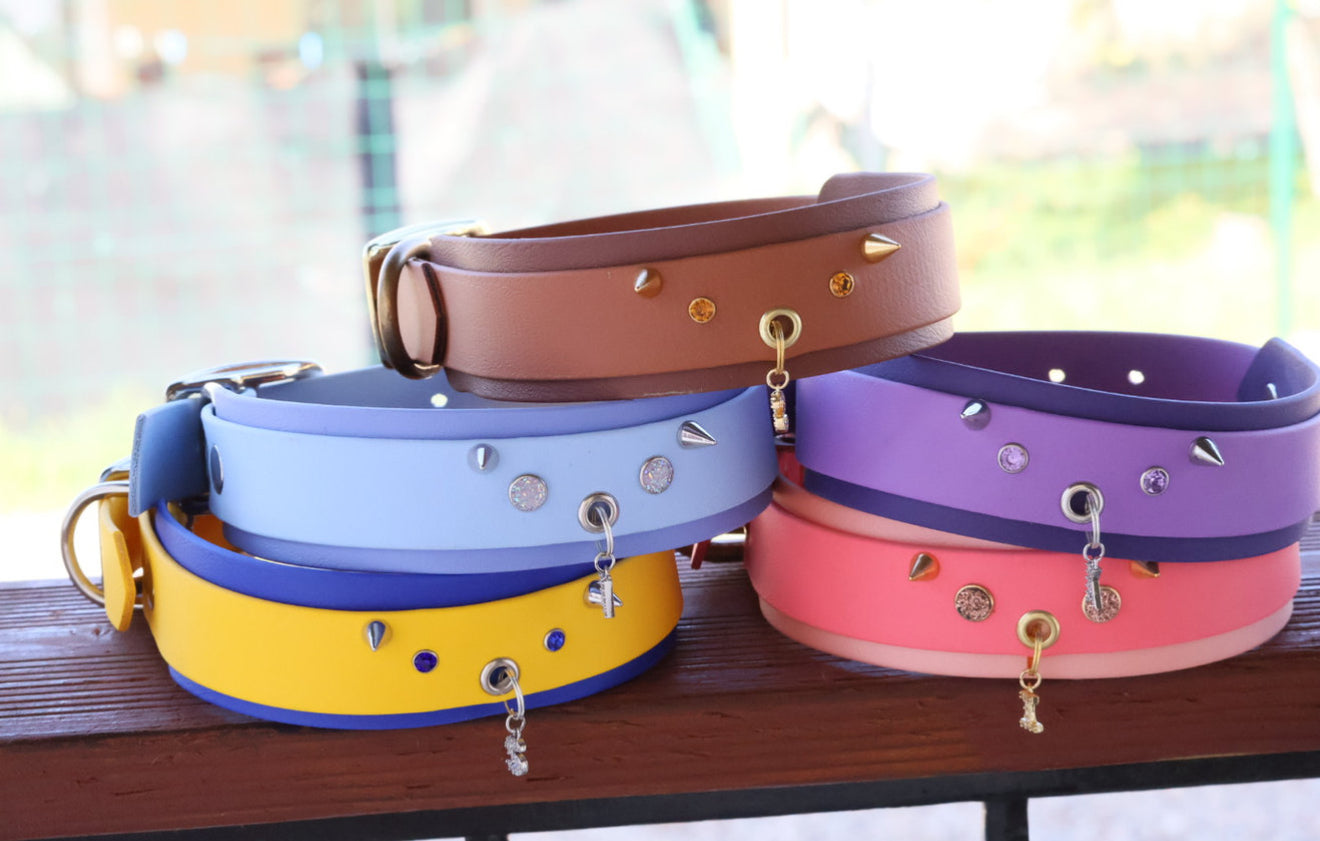 First collar