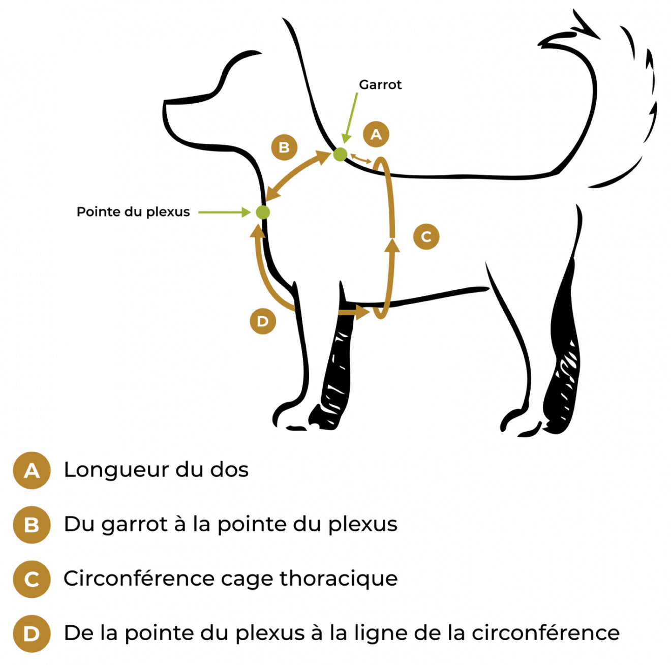 Harnais à poignée