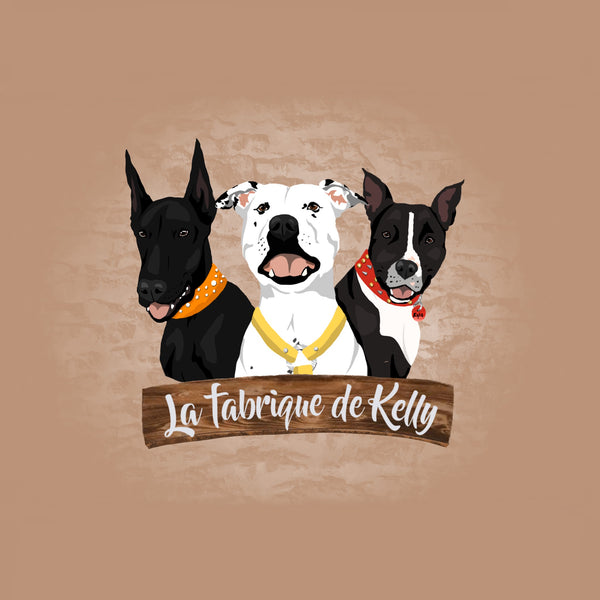 La fabrique de Kelly