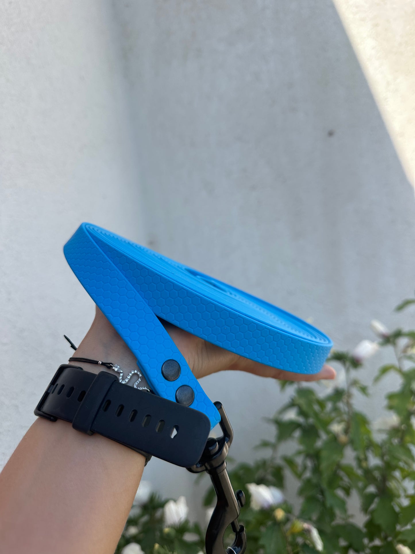 Longe HEXA 20mm